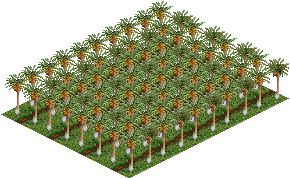 fruit-plantation.gif